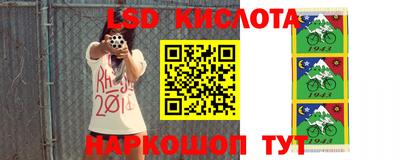 гидра Ставрополь