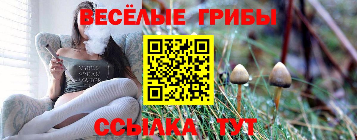 Псилоцибиновые грибы прущие грибы Михайловка