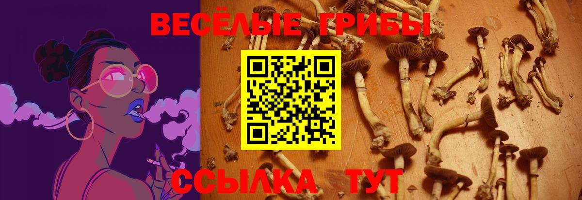 Псилоцибиновые грибы Psilocybe  Вход с VPN  Псилоцибиновые грибы мицелий  Михайловка 